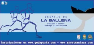 previas2019_laballena