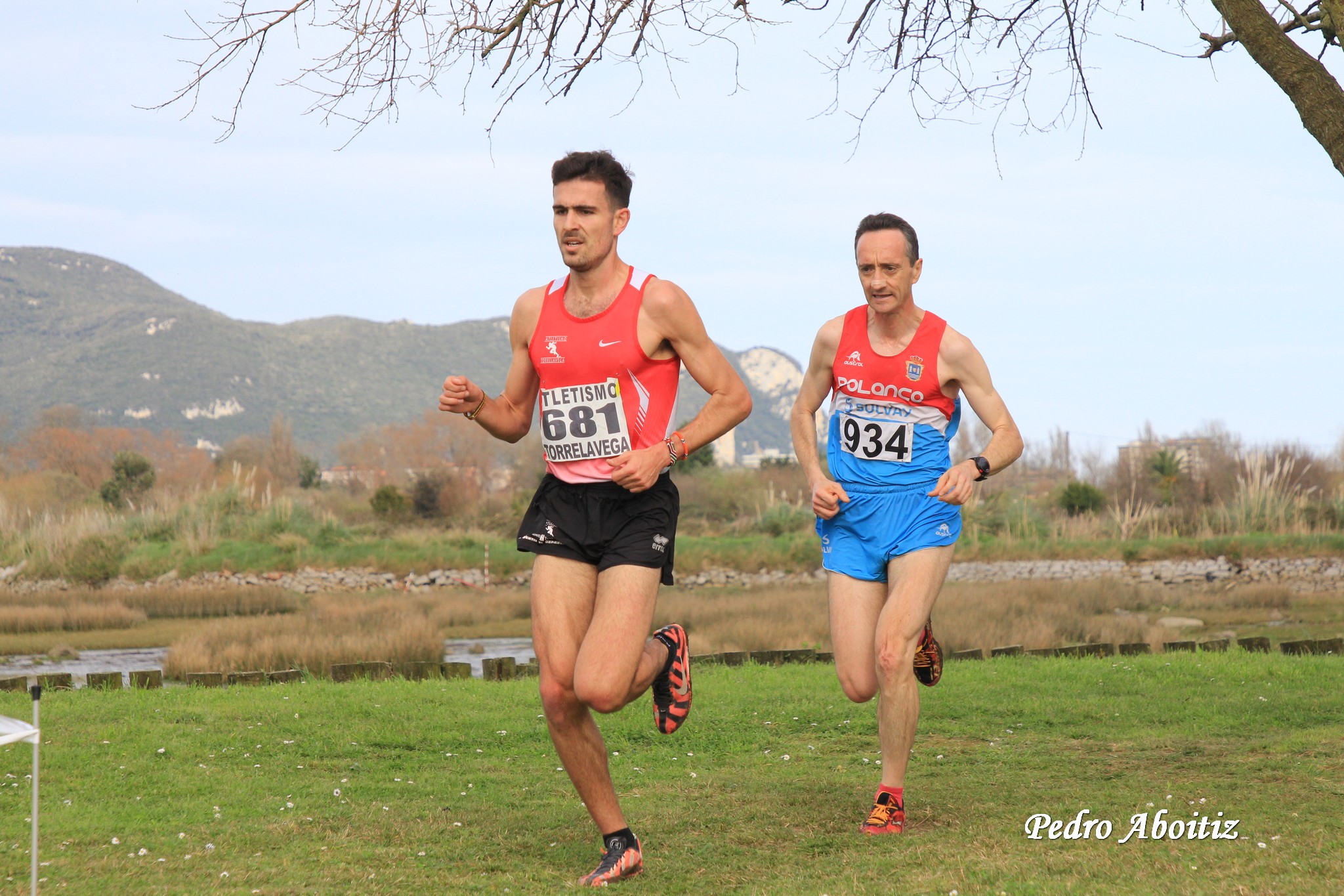 2020-02-16 43 Cross Villa de Colindres 1138